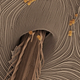 Illustration for article titled Under an electron microscope, spider skin is cooler than you might have imagined